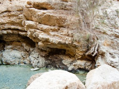 Wadi Bokek doğada saklıdır Judean desert İsrail'in