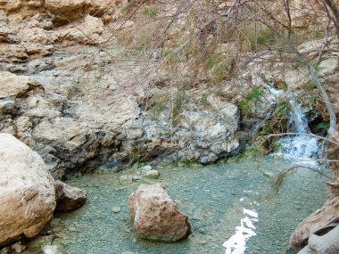 Wadi Bokek doğada saklıdır Judean desert İsrail'in