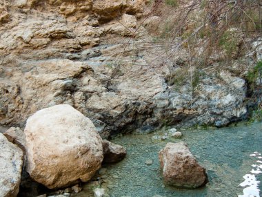 Wadi Bokek doğada saklıdır Judean desert İsrail'in