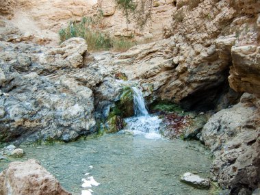 Wadi Bokek doğada saklıdır Judean desert İsrail'in