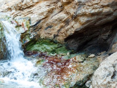 Wadi Bokek doğada saklıdır Judean desert İsrail'in