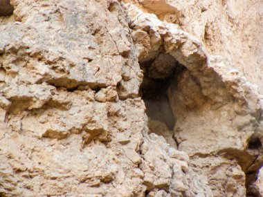 Wadi Bokek doğada saklıdır Judean desert İsrail'in