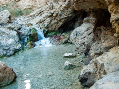 Wadi Bokek doğada saklıdır Judean desert İsrail'in