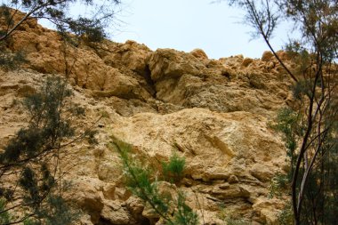 Wadi Bokek doğada saklıdır Judean desert İsrail'in