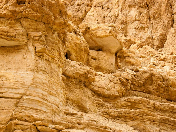 Naturreservat Den Wadi Bokek Judean Öknen Israel — Stockfoto