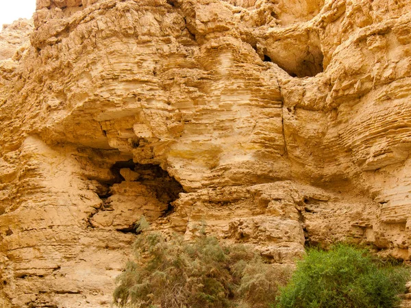 Természetvédelmi Wadi Bokek Júdeai Sivatag Izrael — Stock Fotó