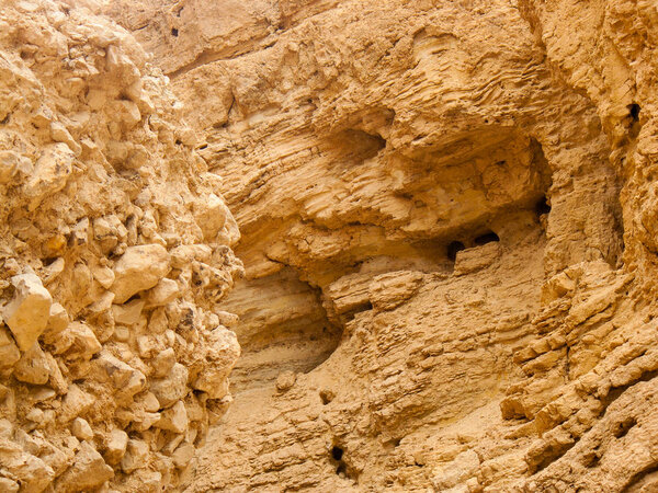 Nature in the Wadi Bokek reserve of the Judean desert in Israel