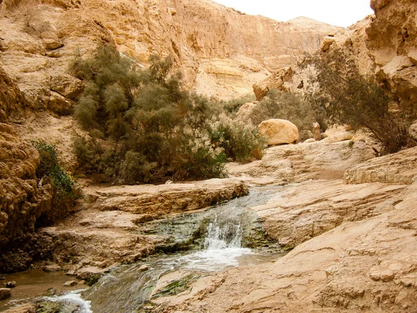 Wadi Bokek Natuurreservaat Van Judean Desert Israël — Stockfoto