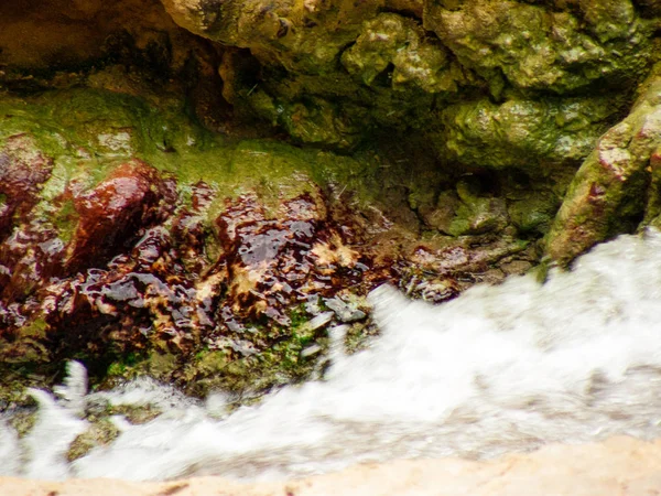 Αποθεματικό Της Φύσης Wadi Bokek Της Ερήμου Ιουδαϊκή Στο Ισραήλ — Φωτογραφία Αρχείου