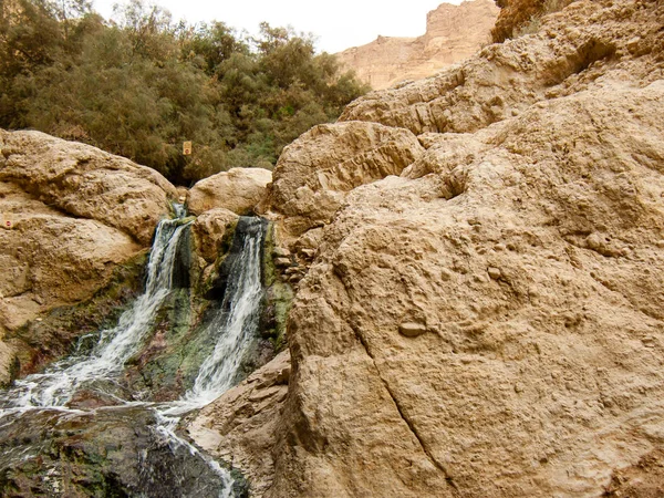 Luonto Wadi Bokek Reservi Juudean Autiomaassa Israelissa — kuvapankkivalokuva