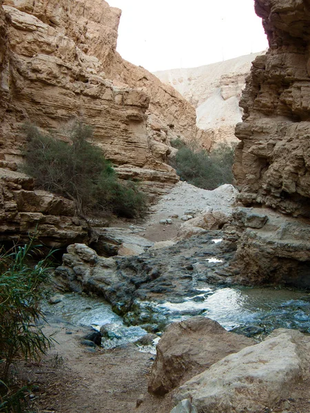 Αποθεματικό Της Φύσης Wadi Bokek Της Ερήμου Ιουδαϊκή Στο Ισραήλ — Φωτογραφία Αρχείου