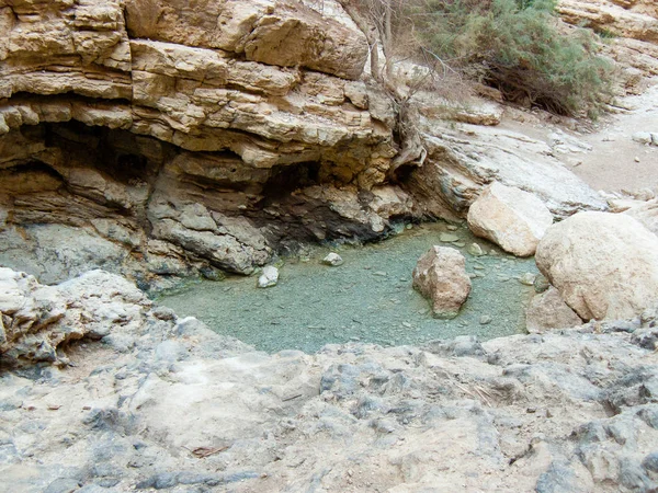 Wadi Bokek doğada saklıdır Judean desert İsrail'in