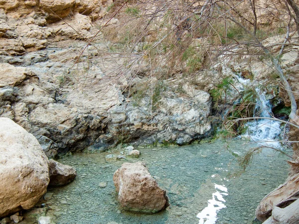 Wadi Bokek doğada saklıdır Judean desert İsrail'in