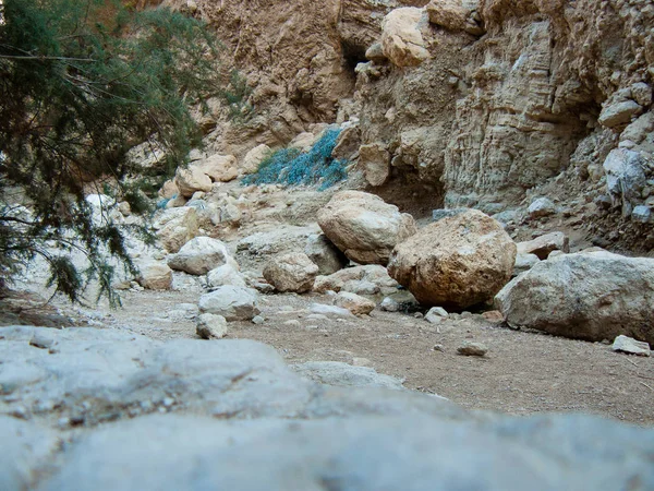 Заповідника Ваді Бокек Юдейські Пустелі Ізраїлі — стокове фото
