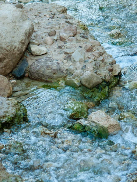 Natura Nella Riserva Wadi Bokek Del Deserto Della Giudea Israele — Foto Stock