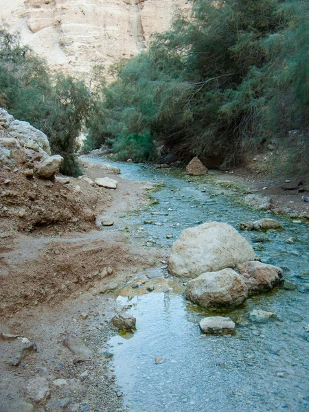 Природа Заповеднике Вади Бокек Иудейской Пустыни Израиле — стоковое фото