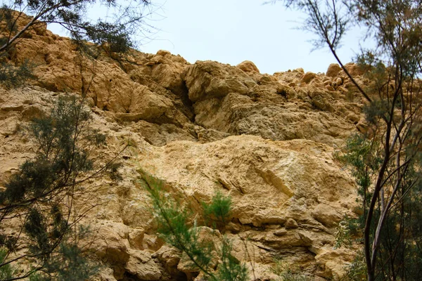 Natureza Reserva Bokek Wadi Deserto Judéia Israel — Fotografia de Stock