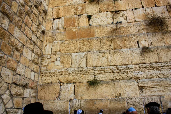 Desconocidos Rezando Frente Muro Occidental Vieja Ciudad Jerusalén Por Mañana — Foto de Stock