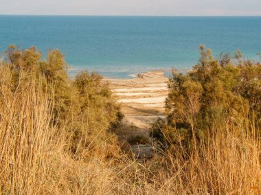 Doğa ve manzara Ölü Deniz'in İsrail       