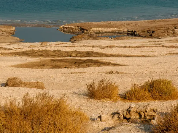 Природа Краєвид Мертвого Моря Ізраїлі — стокове фото