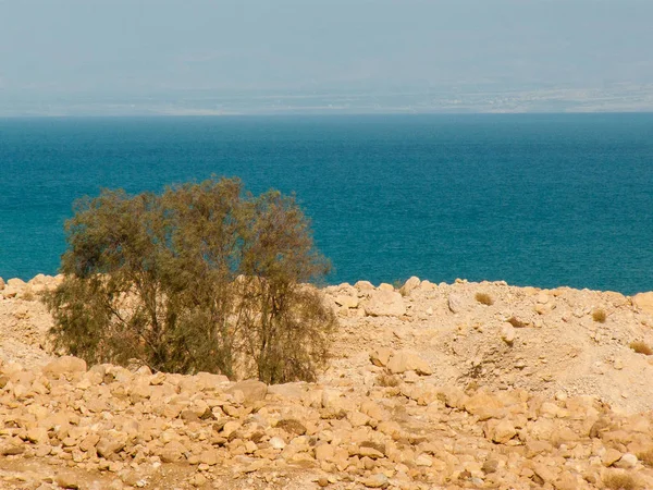 Příroda Krajina Mrtvého Moře Izraeli — Stock fotografie