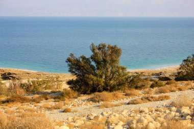 Doğa ve manzara Ölü Deniz'in İsrail       