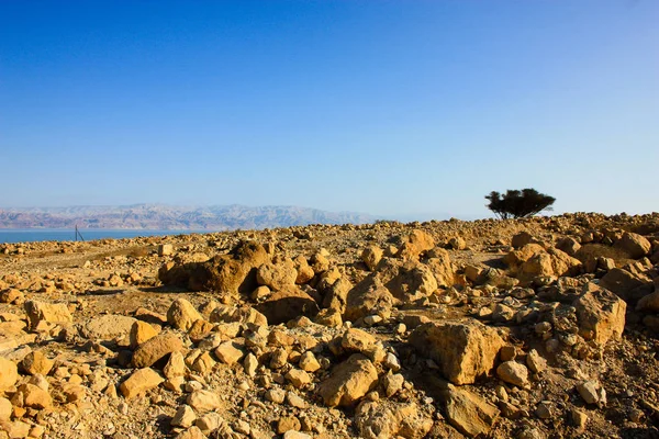 以色列死海的自然与景观 — 图库照片