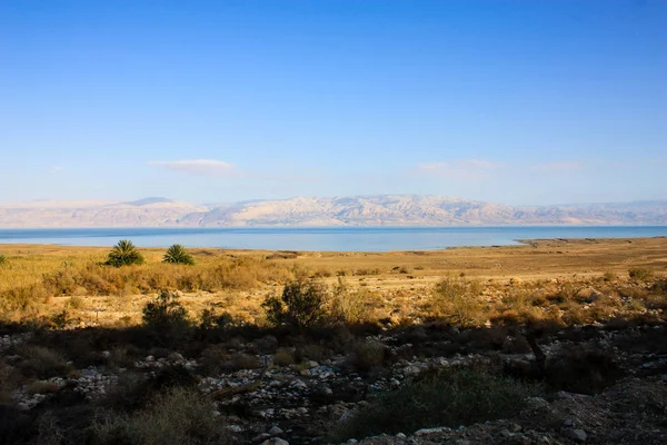 Nature Landscape Dead Sea Israel — Stock Photo, Image