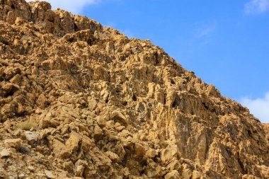 İsrail 'deki Negev Çölü manzarası