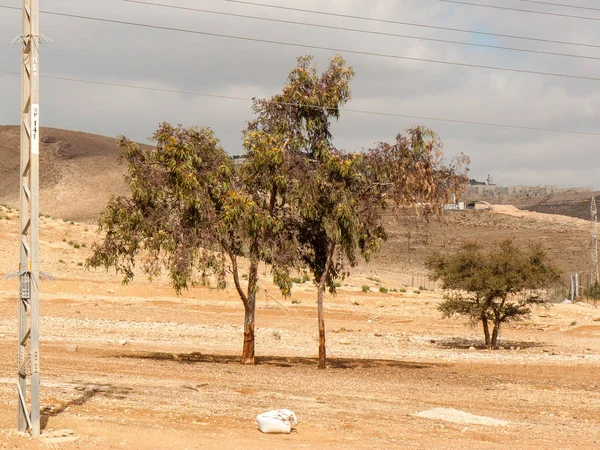 Krajina Negev Pouště Izraeli — Stock fotografie