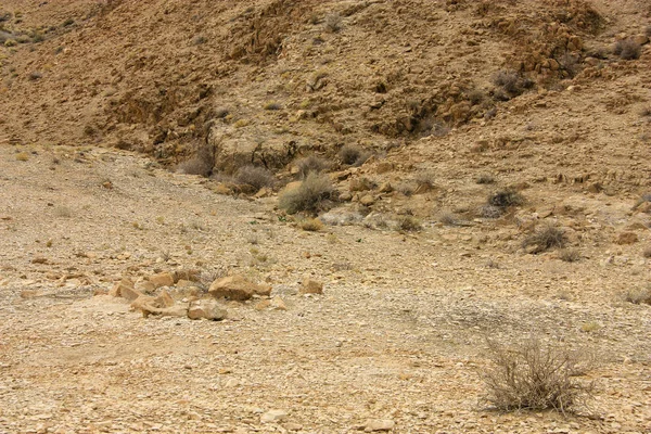 イスラエルのネゲヴ砂漠の風景は — ストック写真