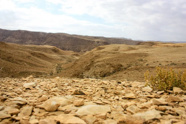 Landscape Negev Desert Israel — Stock Photo, Image