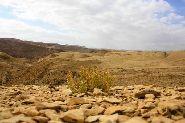 Landschaft Der Negev Wüste Israel — Stockfoto