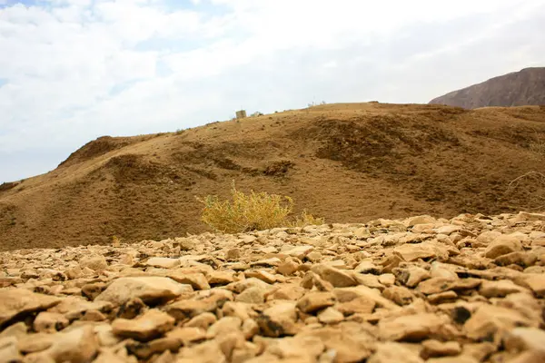 Landscape Negev Desert Israel — Stock Photo, Image