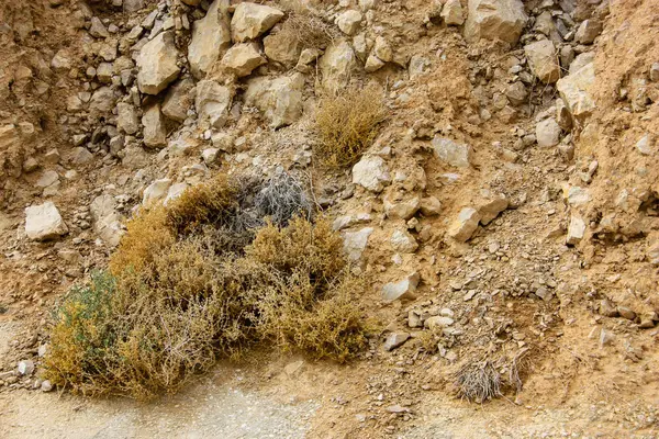 İsrail 'deki Negev Çölü manzarası