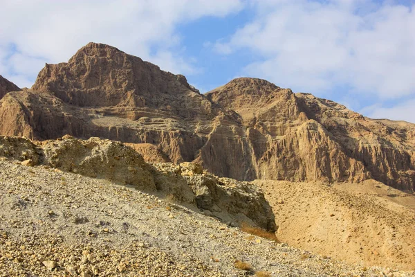 Krajobraz Pustyni Negev Izraelu — Zdjęcie stockowe