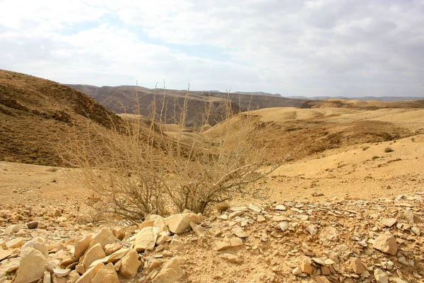 Landscape Negev Desert Israel — Stock Photo, Image