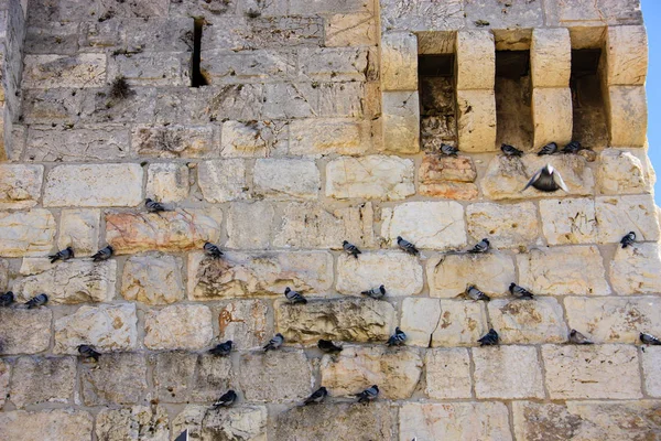 Closeup of the outer wall of the old city of Jerusalem in Israel