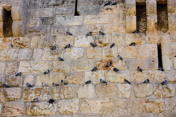 Närbild Den Yttre Väggen Den Gamla Staden Jerusalem Israel — Stockfoto