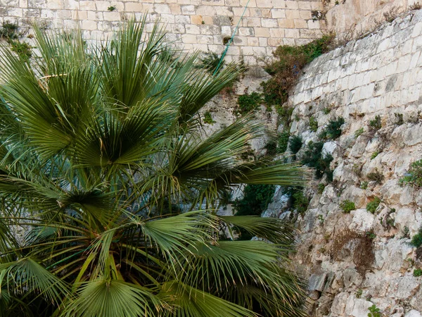 Avvicinamento Delle Mura Esterne Della Città Vecchia Gerusalemme Israele — Foto Stock