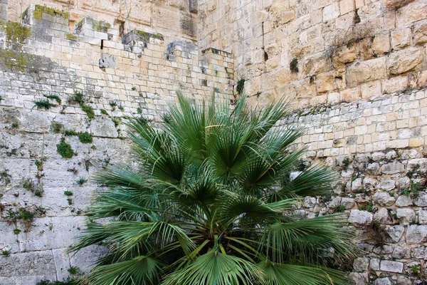 Closeup of the outer wall of the old city of Jerusalem in Israel