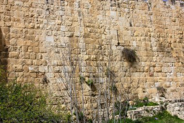  Eski şehir Kudüs İsrail dış duvarına closeup