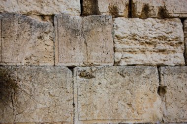 Batı closeup duvar Kudüs İsrail