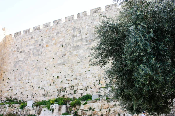 Closeup ของก าแพงด านนอกของเม องเก าของเยร ซาเล มในอ สราเอล — ภาพถ่ายสต็อก