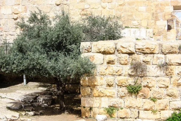 Закрытие Внешней Стены Старого Города Иерусалима Израиле — стоковое фото