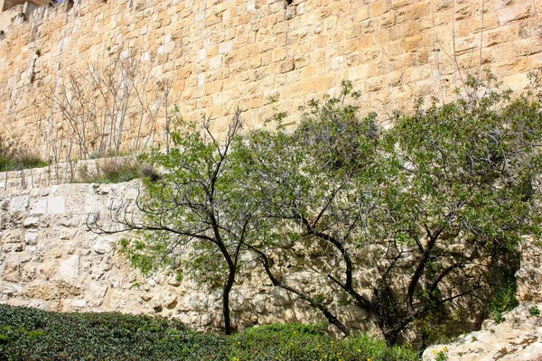 Closeup of the outer wall of the old city of Jerusalem in Israel