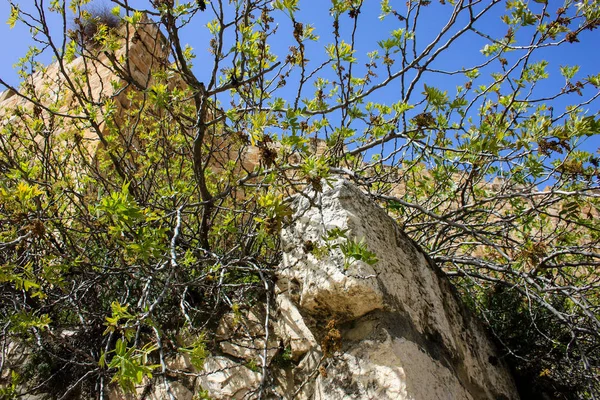 Закрытие Внешней Стены Старого Города Иерусалима Израиле — стоковое фото