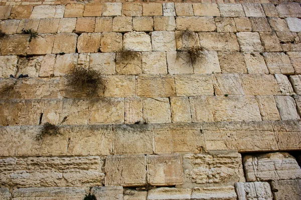 Крупним Планом Західних Стіни Єрусалимі Ізраїлю — стокове фото