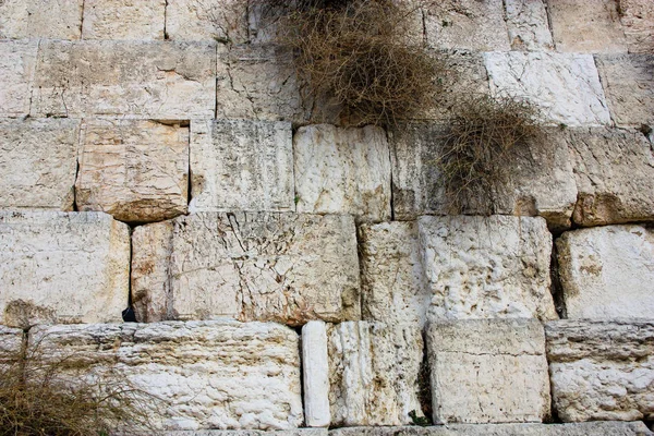 Close Van Westerse Muur Jeruzalem Israël — Stockfoto