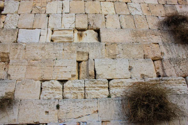 Gros Plan Mur Occidental Jérusalem Israël — Photo